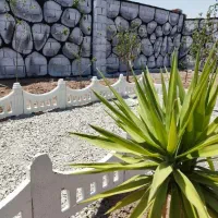 باغچه 170متری.زمین چهار دیواری در مجموعه