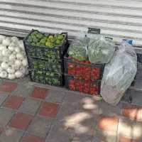 راننده پراید وانت فقط مسقف