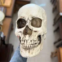 مجسمه تندیس ماکت سر جمجمه کادو هدیه ولنتاین