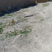 زمین  224متر روستای بوریابادمناسب خانه سازی یا باغ