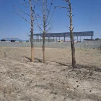 زمین-دویست-متری-نبش-خیابان