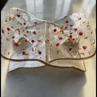 ظروف پذیرایی