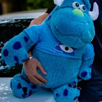 عروسک سالیوان بزرگ