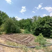 فروش باغ ۳۰ من محلی بر آسفالت