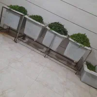 سبزی خورشتی چرخ شده پخش عمده و جزئی کیلویی49