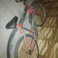دوچرخه۲۴