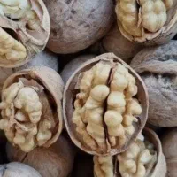 گردوکاغذی محلی هسته پر وتمیز|خوردنی و آشامیدنی|سردشت, |دیوار