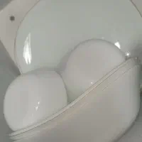 ارکوپال لب طلا