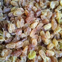 کشمش|خوردنی و آشامیدنی|پاتاوه, |دیوار