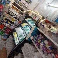 ظروف یکبار مصرف