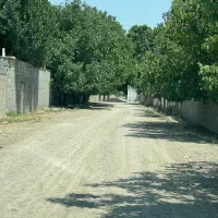 470-متر-باغچه-سند-تک-برگ-چهارباغ