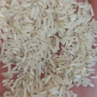 لاشه برنج فجر طارم بسیار درشت ۸۰درصد سالم.معطر
