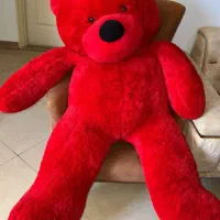 خرس قرمز
