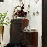 جا کفشی و میز تلویزیون