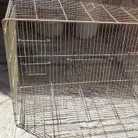 قفس پرنده