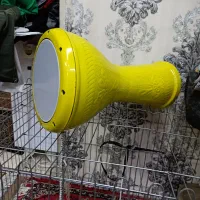 تمپو حرفه ای اکبند|درام و پرکاشن|ارومیه, |دیوار