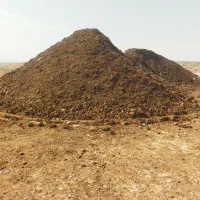 پخش انواع کود حیوانی پوسیده و خاک باغچه|خدمات باغبانی و درختکاری|محمدشهر, محمدشهر|دیوار