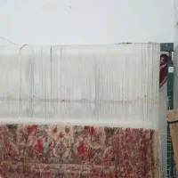 دارقالی شیش متری