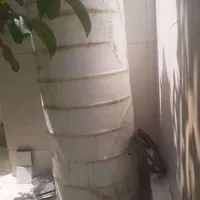 مخزن آب