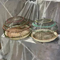 سره خاکی جوجه امساله