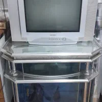 تلوزیون