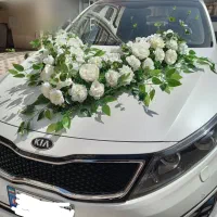 پنل کرایه‌ای ماشین عروس