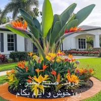 سرایدار باغ ویلا