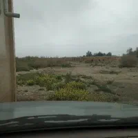 استاد داربست