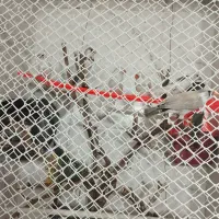 فنچ|پرنده|مشهد, حسین‌آباد|دیوار