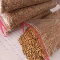 عدس درجه ۱|خوردنی و آشامیدنی|رباطکریم, رباطکریم|دیوار