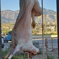 گوشت درجه یک ارزان در قصابی مجید آگهی رو بخون