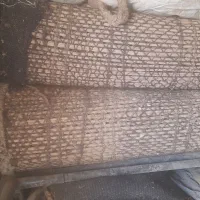 سیاه چادر|کوهنوردی و کمپینگ|کوهدشت, |دیوار