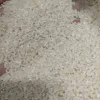 برنج نیم دانه هاشمی و لاشه هاشمی|خوردنی و آشامیدنی|رشت, جانبازان|دیوار