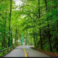 بیخوابی و بیکاری