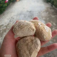 کشک گوسفندی|خوردنی و آشامیدنی|دالخانی, |دیوار