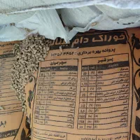 خوراک دام (کنسانتره)|لوازم جانبی حیوانات|محمدشهر, محمدشهر|دیوار