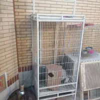 قفس بزرگ پایه دار