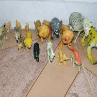 فیگور حیوانات