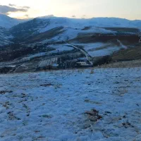 زمین کشاورزی