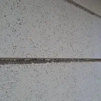 سیمان کاری سیمان بری|خدمات پیشه و مهارت|رشت, اسماعیل آباد|دیوار