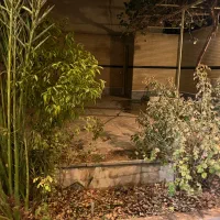 اجاره یک واحد آپارتمان تک خوابه|اجارهٔ آپارتمان|اصفهان, خواجه عمید|دیوار