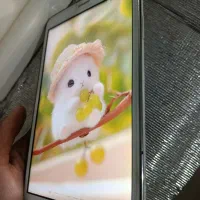 تبلت سامسونگ به همراه+32گیگ رم + شارژ+کارتن|تبلت|محمدشهر, محمدشهر|دیوار