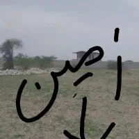 فورش فوری زمین