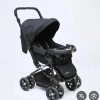 کالسکه دلیجان درحدنو