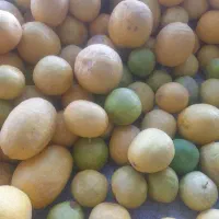 ابلیمو طبیعی خالص