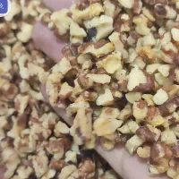 مغز گردو دندانه بلغار پارساله