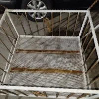 گهواره دوقلو|تخت و صندلی بچه|اسلامآباد غرب, |دیوار