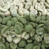 فروش قهوه دان و دون