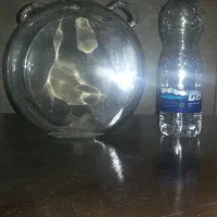 2عدد ظرف یا گلدان شیشه ای|صنایع دستی و سایر لوازم تزئینی|تهران, زرکش|دیوار