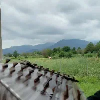 آموزش سنتور به روش علمی و آکادمیک